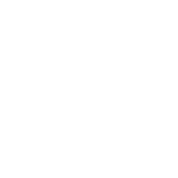 Protos Systems logo